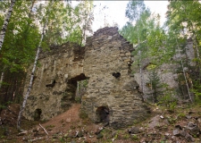 Замок в лесу. Самая подлинная история Французской горки