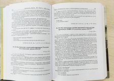 Презентация книги "Челябинская губерния, 1919-1923: абрис истории"