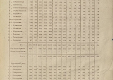 К 100-летию всеобщей переписи населения. Первая в Советской Республике перепись 1920 года в Челябинской губернии