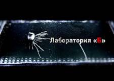 Embedded thumbnail for Лаборатория &amp;quot;Б&amp;quot;